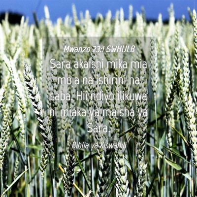 Picture 04 - Mwanzo 23:1 SWHULB - Sara akaishi mika mia moja na ishirini na saba. - Bible Verse Picture
