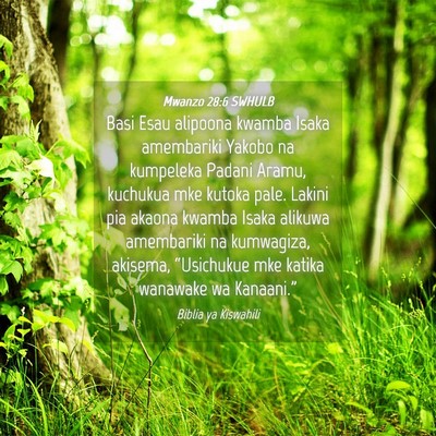 Picture 04 - Mwanzo 28:6 SWHULB - Basi Esau alipoona kwamba Isaka amembariki Yakobo - Bible Verse Picture