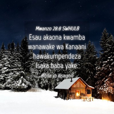 Picture 04 - Mwanzo 28:8 SWHULB - Esau akaona kwamba wanawake wa Kanaani - Bible Verse Picture