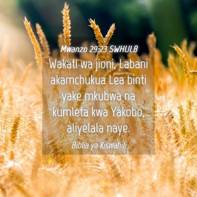 Picture 04 - Mwanzo 29:23 SWHULB - Wakati wa jioni, Labani akamchukua Lea binti yake - Bible Verse Picture