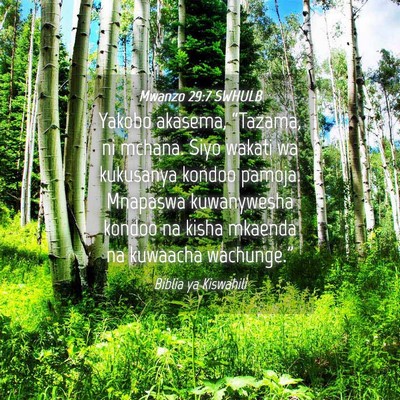 Picture 04 - Mwanzo 29:7 SWHULB - Yakobo akasema, “Tazama, ni mchana. Siyo wakati - Bible Verse Picture