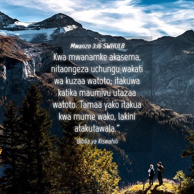 Picture 04 - Mwanzo 3:16 SWHULB - Kwa mwanamke akasema, nitaongeza uchungu wakati - Bible Verse Picture