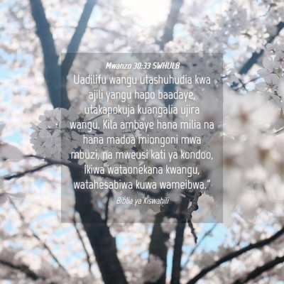 Picture 04 - Mwanzo 30:33 SWHULB - Uadilifu wangu utashuhudia kwa ajili yangu hapo - Bible Verse Picture