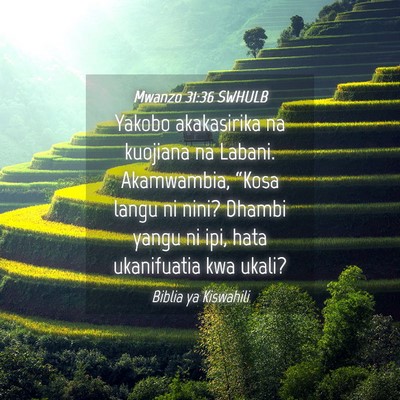 Picture 04 - Mwanzo 31:36 SWHULB - Yakobo akakasirika na kuojiana na Labani. - Bible Verse Picture