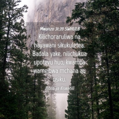 Picture 04 - Mwanzo 31:39 SWHULB - Kilichoraruliwa na hayawani sikukuletea. Badala - Bible Verse Picture