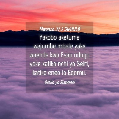 Picture 04 - Mwanzo 32:3 SWHULB - Yakobo akatuma wajumbe mbele yake waende kwa Esau - Bible Verse Picture