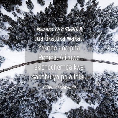 Picture 04 - Mwanzo 32:31 SWHULB - Jua likatoka wakati Yakobo anaipita Penieli. - Bible Verse Picture