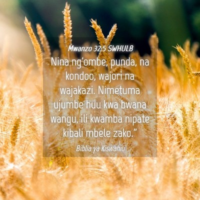 Picture 04 - Mwanzo 32:5 SWHULB - Nina ng'ombe, punda, na kondoo, wajori na - Bible Verse Picture