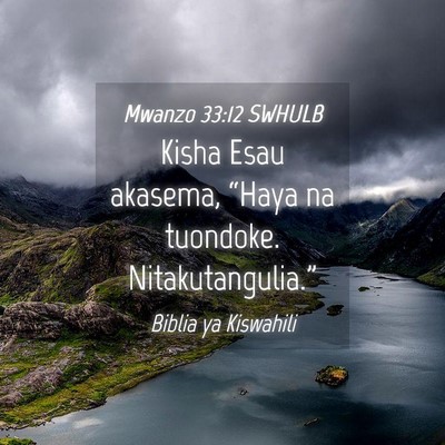 Picture 04 - Mwanzo 33:12 SWHULB - Kisha Esau akasema, “Haya na tuondoke. - Bible Verse Picture