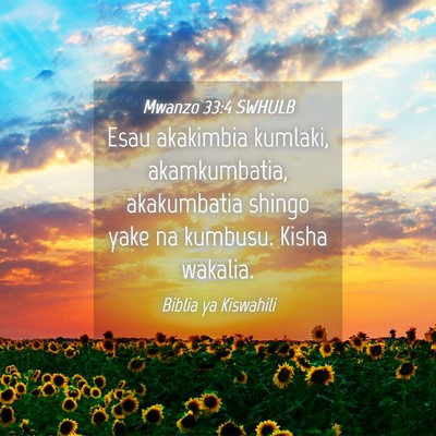 Picture 04 - Mwanzo 33:4 SWHULB - Esau akakimbia kumlaki, akamkumbatia, akakumbatia - Bible Verse Picture