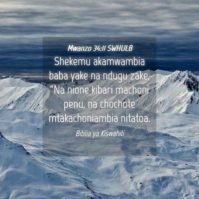 Picture 04 - Mwanzo 34:11 SWHULB - Shekemu akamwambia baba yake na ndugu zake, “Na - Bible Verse Picture