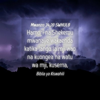 Picture 04 - Mwanzo 34:20 SWHULB - Hamori na Shekemu mwanaye wakaenda katika lango - Bible Verse Picture