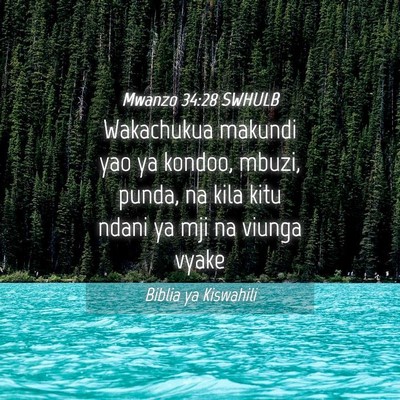 Picture 04 - Mwanzo 34:28 SWHULB - Wakachukua makundi yao ya kondoo, mbuzi, punda, - Bible Verse Picture