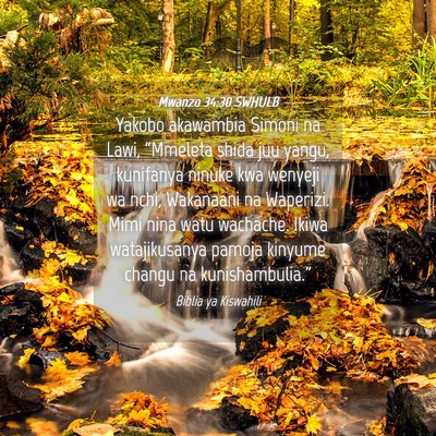 Picture 04 - Mwanzo 34:30 SWHULB - Yakobo akawambia Simoni na Lawi, “Mmeleta shida - Bible Verse Picture