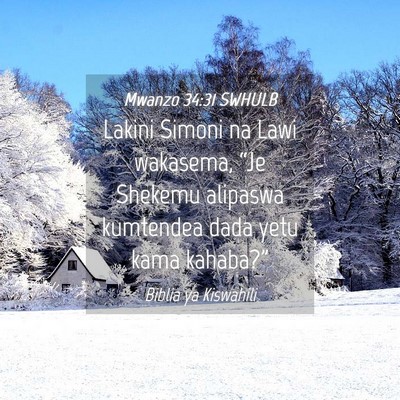 Picture 04 - Mwanzo 34:31 SWHULB - Lakini Simoni na Lawi wakasema, “Je Shekemu - Bible Verse Picture