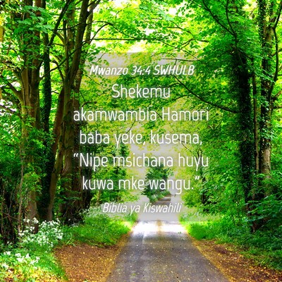 Picture 04 - Mwanzo 34:4 SWHULB - Shekemu akamwambia Hamori baba yeke, kusema, - Bible Verse Picture