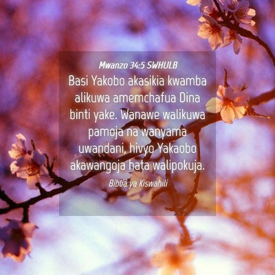 Picture 04 - Mwanzo 34:5 SWHULB - Basi Yakobo akasikia kwamba alikuwa amemchafua - Bible Verse Picture