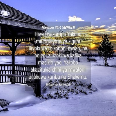 Picture 04 - Mwanzo 35:4 SWHULB - Hivyo wakampa Yakobo miungu yote ya kigeni - Bible Verse Picture