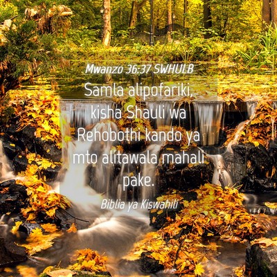 Picture 04 - Mwanzo 36:37 SWHULB - Samla alipofariki, kisha Shauli wa Rehobothi - Bible Verse Picture