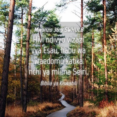 Picture 04 - Mwanzo 36:9 SWHULB - Hivi ndivyo vizazi vya Esau, babu wa Waedomu - Bible Verse Picture