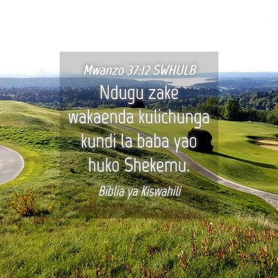 Picture 04 - Mwanzo 37:12 SWHULB - Ndugu zake wakaenda kulichunga kundi la baba yao - Bible Verse Picture