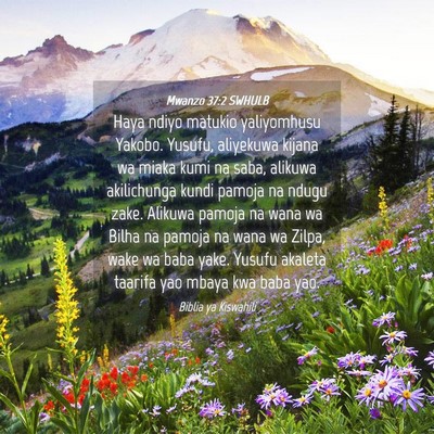 Picture 04 - Mwanzo 37:2 SWHULB - Haya ndiyo matukio yaliyomhusu Yakobo. Yusufu, - Bible Verse Picture