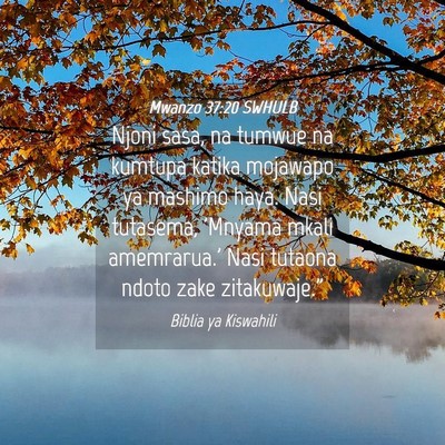 Picture 04 - Mwanzo 37:20 SWHULB - Njoni sasa, na tumwue na kumtupa katika mojawapo - Bible Verse Picture