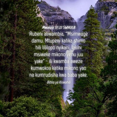 Picture 04 - Mwanzo 37:22 SWHULB - Rubeni aliwambia, “Msimwage damu. Mtupeni - Bible Verse Picture