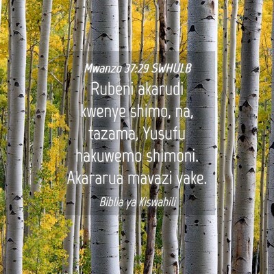 Picture 04 - Mwanzo 37:29 SWHULB - Rubeni akarudi kwenye shimo, na, tazama, Yusufu - Bible Verse Picture