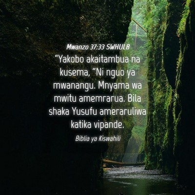 Picture 04 - Mwanzo 37:33 SWHULB - “Yakobo akaitambua na kusema, “Ni nguo ya - Bible Verse Picture