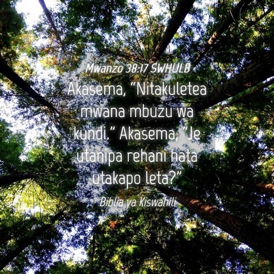 Picture 04 - Mwanzo 38:17 SWHULB - Akasema, “Nitakuletea mwana mbuzu wa kundi.” - Bible Verse Picture