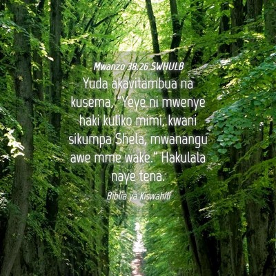 Picture 04 - Mwanzo 38:26 SWHULB - Yuda akavitambua na kusema, “Yeye ni mwenye - Bible Verse Picture