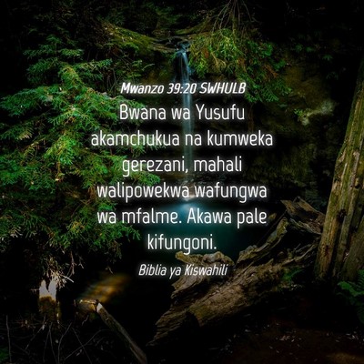 Picture 04 - Mwanzo 39:20 SWHULB - Bwana wa Yusufu akamchukua na kumweka gerezani, - Bible Verse Picture