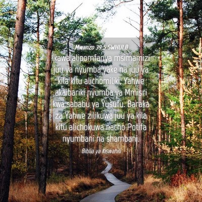Picture 04 - Mwanzo 39:5 SWHULB - Ikawa alipomfanya msimamizi juu ya nyumba yake na - Bible Verse Picture