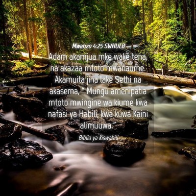 Picture 04 - Mwanzo 4:25 SWHULB - Adam akamjua mke wake tena, na akazaa mtoto - Bible Verse Picture