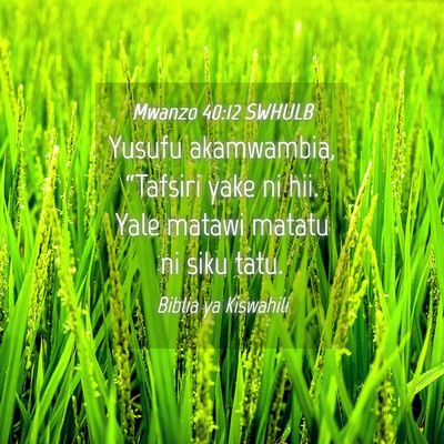 Picture 04 - Mwanzo 40:12 SWHULB - Yusufu akamwambia, “Tafsiri yake ni hii. Yale - Bible Verse Picture