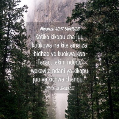 Picture 04 - Mwanzo 40:17 SWHULB - Katika kikapu cha juu kulikuwa na kila aina za - Bible Verse Picture