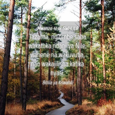 Picture 04 - Mwanzo 41:18 SWHULB - Tazama, ng'ombe saba wakatoka ndani ya Nile, - Bible Verse Picture