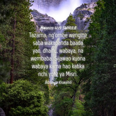 Picture 04 - Mwanzo 41:19 SWHULB - Tazama, ng'ombe wengine saba wakapanda baada yao, - Bible Verse Picture