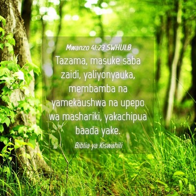 Picture 04 - Mwanzo 41:23 SWHULB - Tazama, masuke saba zaidi, yaliyonyauka, membamba - Bible Verse Picture
