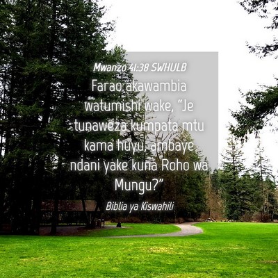 Picture 04 - Mwanzo 41:38 SWHULB - Farao akawambia watumishi wake, “Je tunaweza - Bible Verse Picture