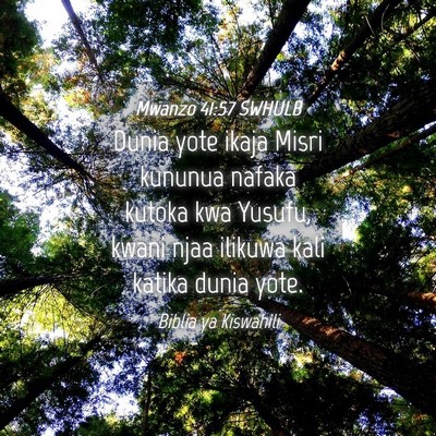 Picture 04 - Mwanzo 41:57 SWHULB - Dunia yote ikaja Misri kununua nafaka kutoka kwa - Bible Verse Picture
