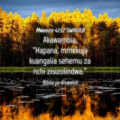 Picture 04 - Mwanzo 42:12 SWHULB - Akawambia, “Hapana, mmekuja kuangalia sehemu za - Bible Verse Picture