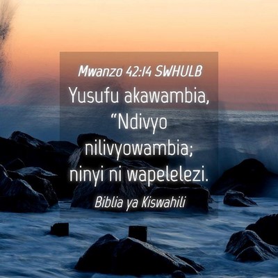 Picture 04 - Mwanzo 42:14 SWHULB - Yusufu akawambia, “Ndivyo nilivyowambia; ninyi - Bible Verse Picture