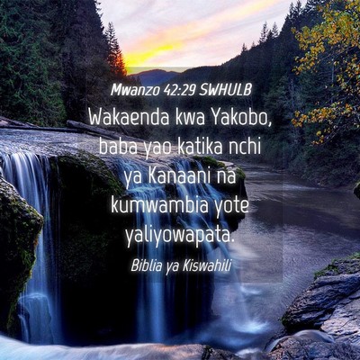 Picture 04 - Mwanzo 42:29 SWHULB - Wakaenda kwa Yakobo, baba yao katika nchi ya - Bible Verse Picture
