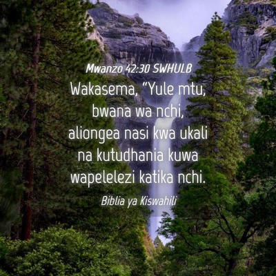 Picture 04 - Mwanzo 42:30 SWHULB - Wakasema, “Yule mtu, bwana wa nchi, aliongea - Bible Verse Picture