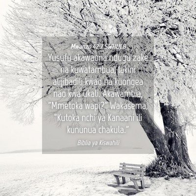 Picture 04 - Mwanzo 42:7 SWHULB - Yusufu akawaona ndugu zake na kuwatambua, lakini - Bible Verse Picture