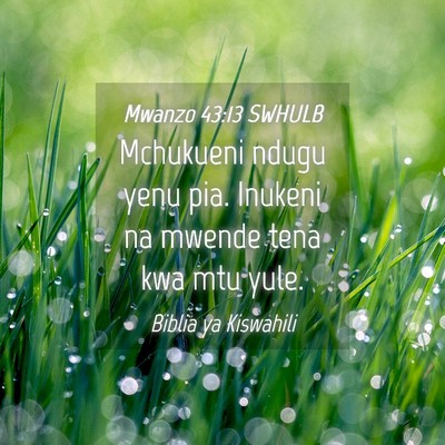 Picture 04 - Mwanzo 43:13 SWHULB - Mchukueni ndugu yenu pia. Inukeni na mwende tena - Bible Verse Picture