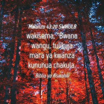 Picture 04 - Mwanzo 43:20 SWHULB - wakisema, “Bwana wangu, tulikuja mara ya kwanza - Bible Verse Picture