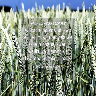 Picture 04 - Mwanzo 43:25 SWHULB - Wakaandaa zawadi kwa ajili ya Yusufu aliyekuwa - Bible Verse Picture